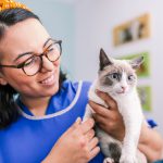 female-vet-with-cat-x-ray