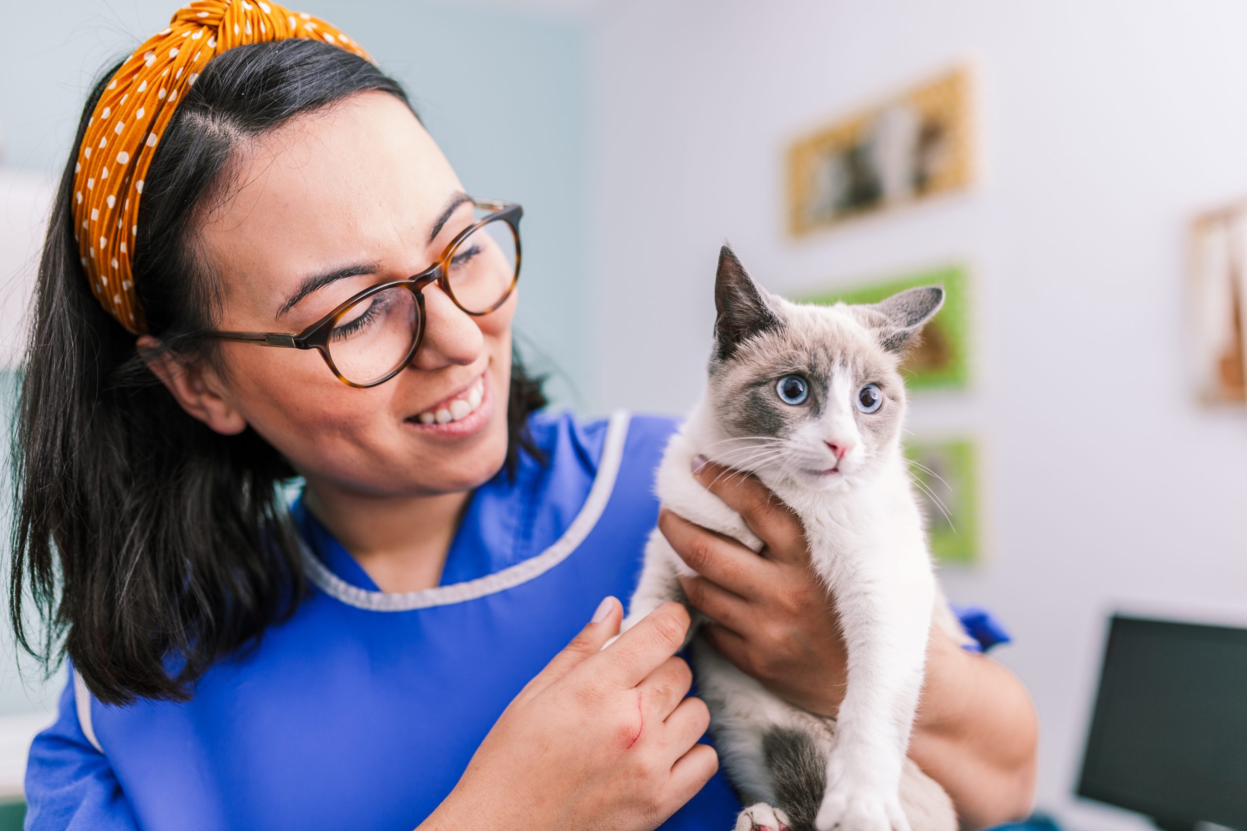 female-vet-with-cat-x-ray